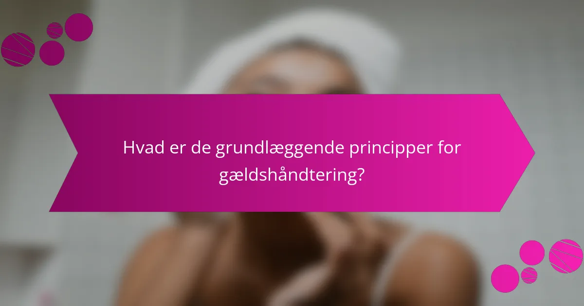 Hvad er de grundlæggende principper for gældshåndtering?