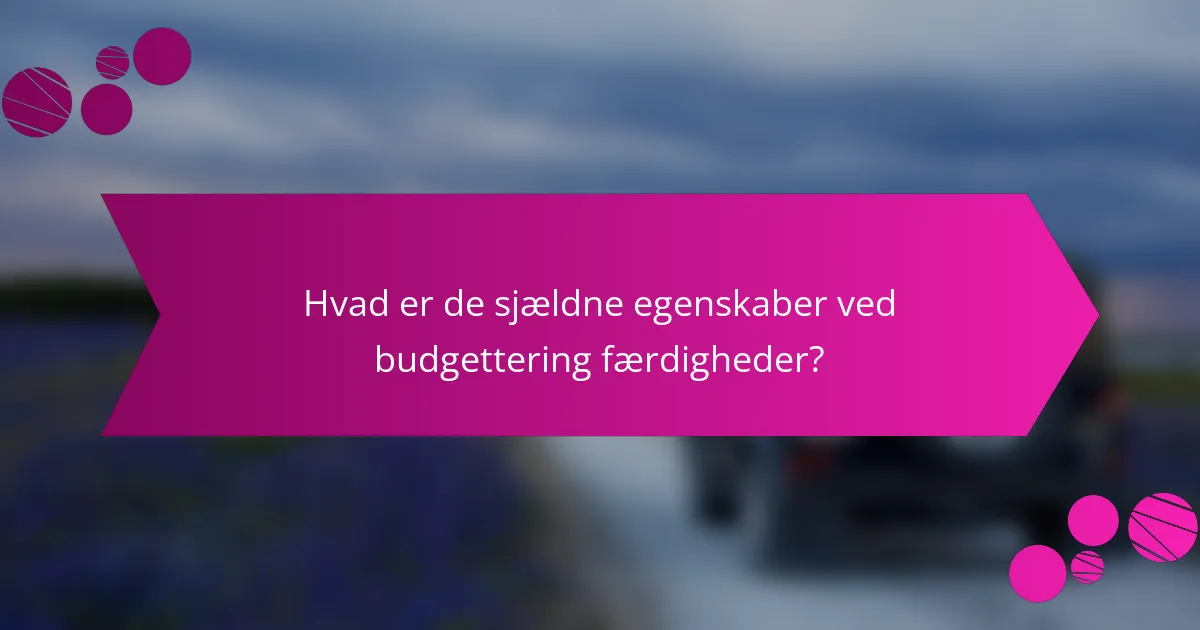 Hvad er de sjældne egenskaber ved budgettering færdigheder?