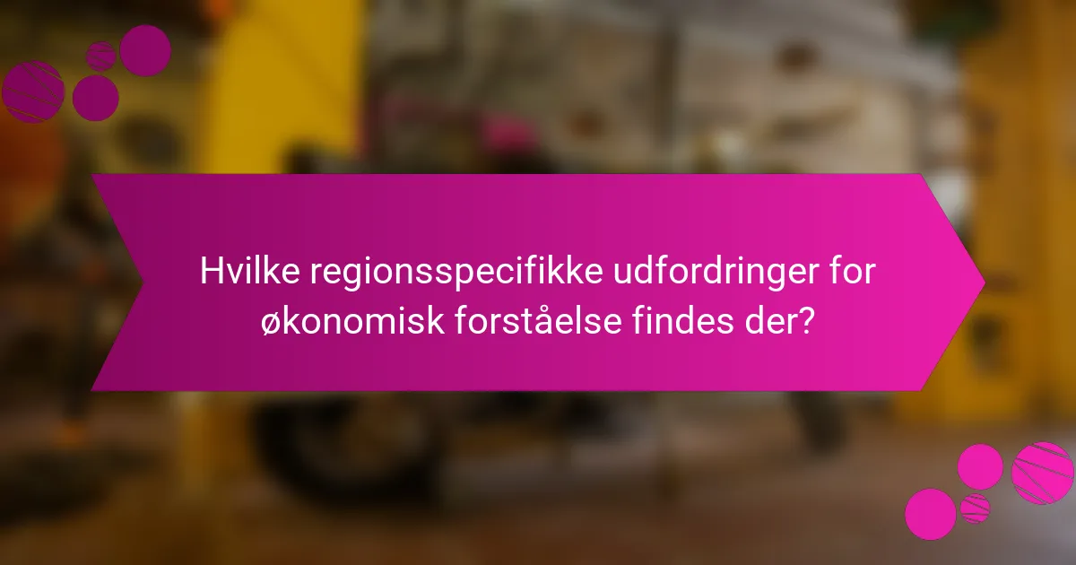 Hvilke regionsspecifikke udfordringer for økonomisk forståelse findes der?